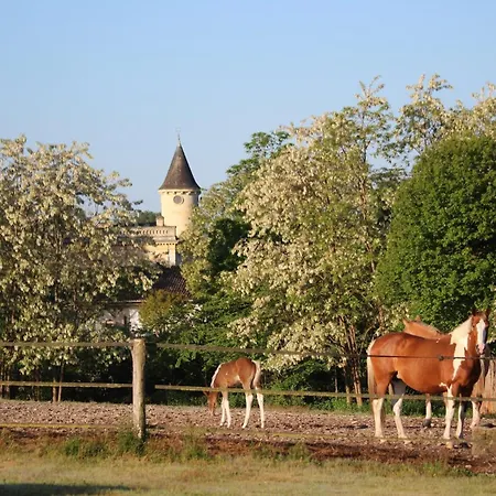 Privative - Domaine Du Plantey Castres-Gironde