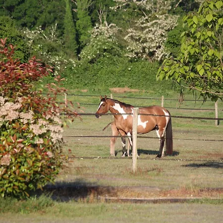 Privative - Domaine Du Plantey